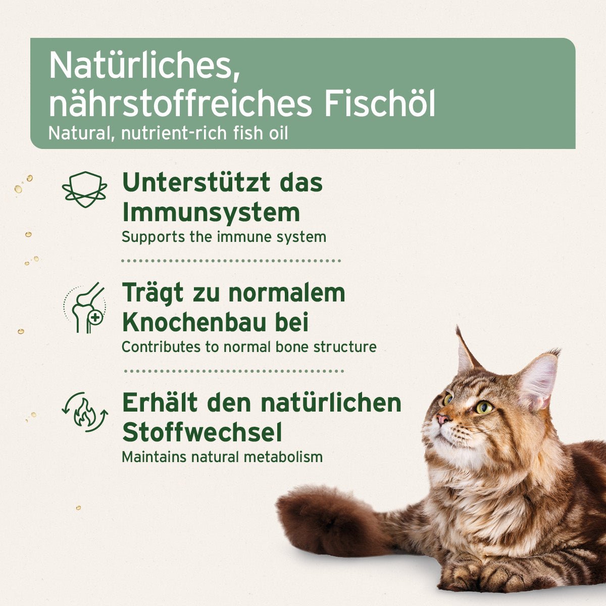 AniForte Lebertran stärkt Immunsystem & Knochenbau Hund, Katze, Pferd 500 ml