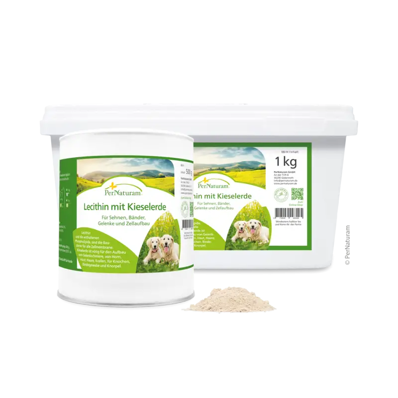 PerNaturam Lecithin mit Kieselerde für Zellwachstum, Regeneration, Leistung und Schönheit
