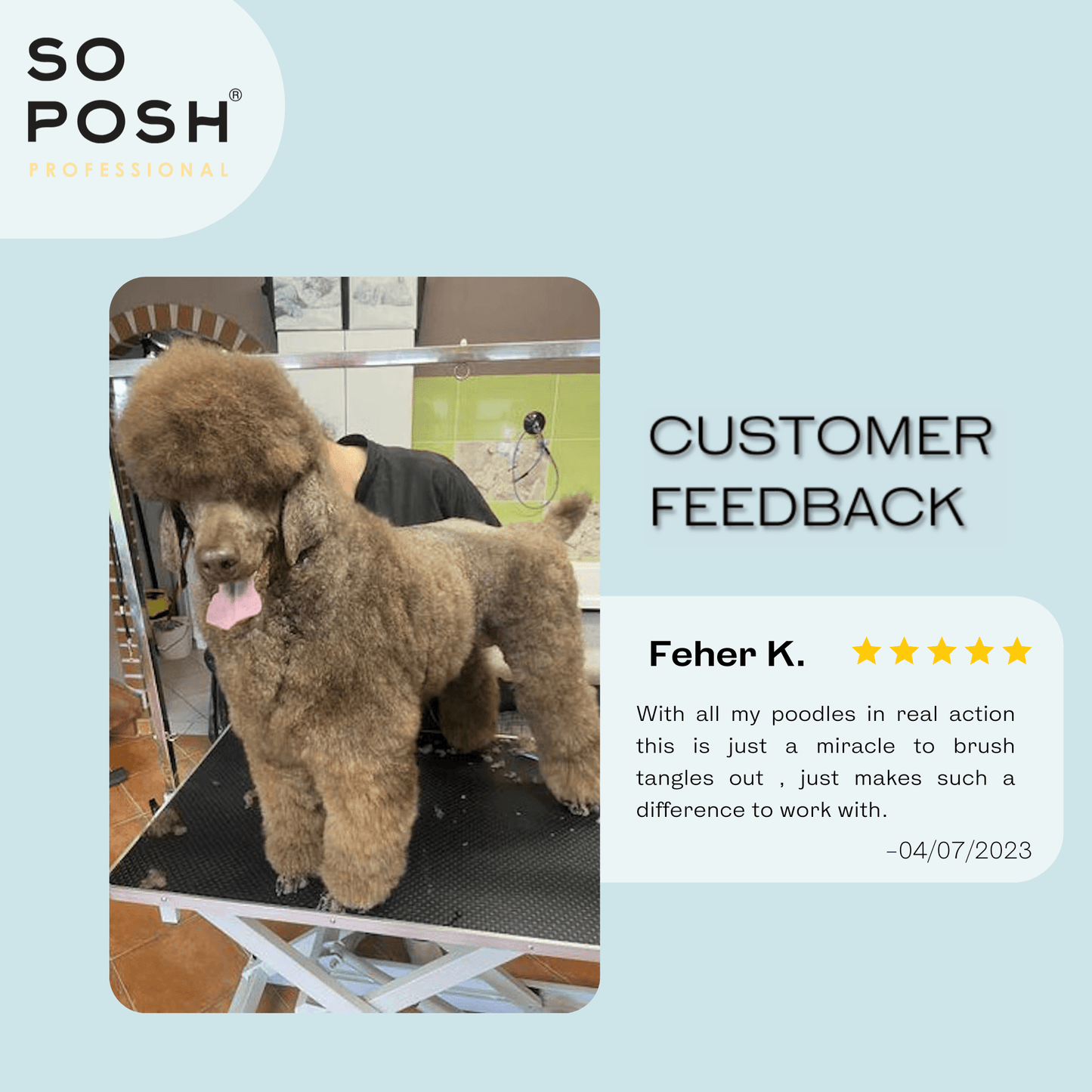 So Posh Look at Me, I'm Tangle-Free Detangler Spray Entwirrungsspray Hund