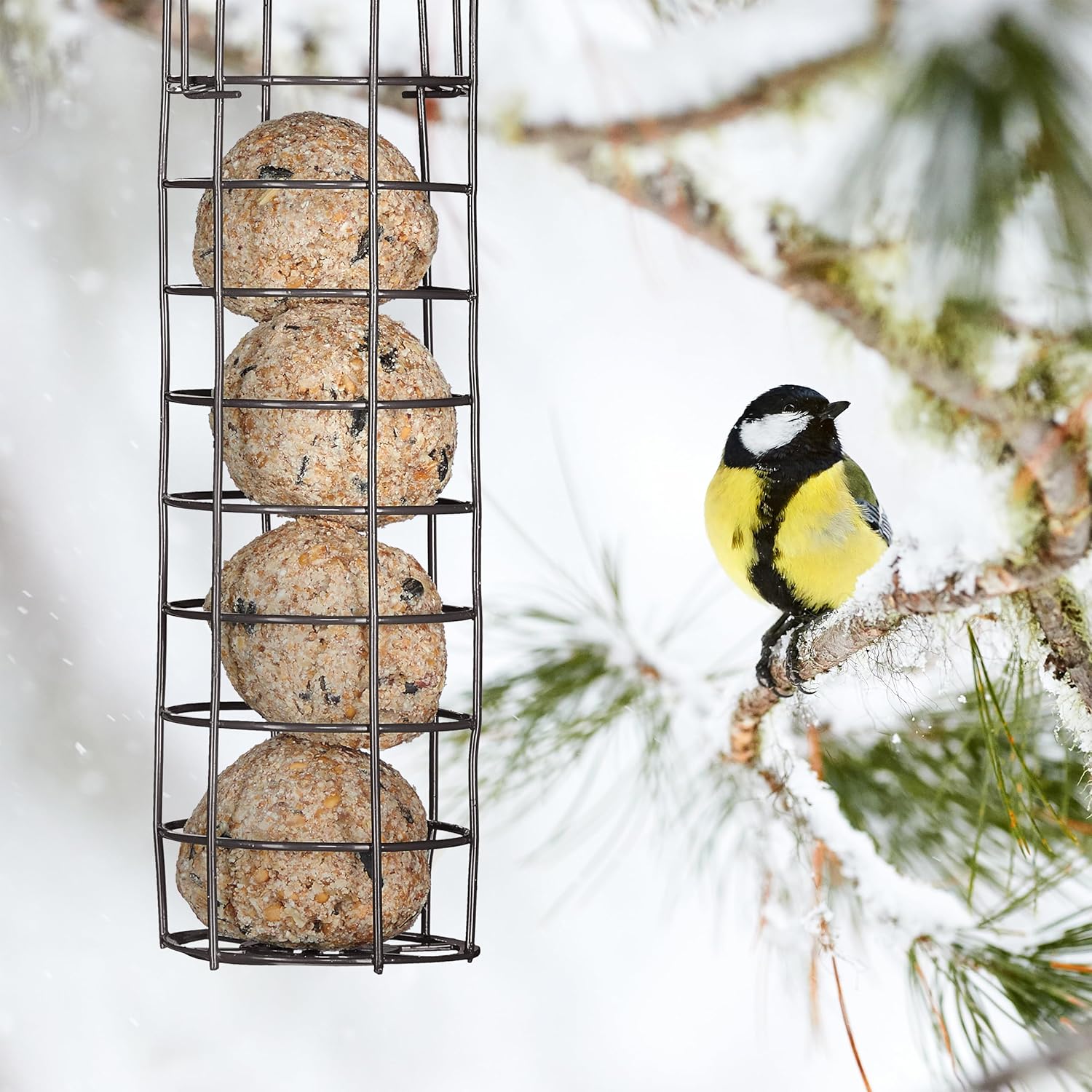 Trixie Meisenknödelhalter für Wildvögel, Metall pulverbeschichtet mit Ring zum aufhängen