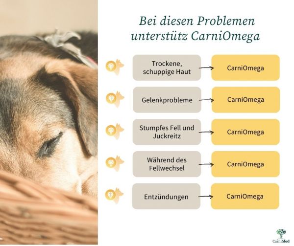 CarniMed CarniOmega Fischöl, hochwertige Omega-3-Fettsäuren für Hunde, 250ml