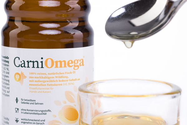 CarniMed CarniOmega Fischöl, hochwertige Omega-3-Fettsäuren für Hunde, 250ml