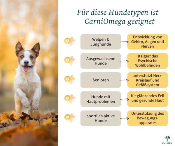 CarniMed CarniOmega Fischöl, hochwertige Omega-3-Fettsäuren für Hunde, 250ml