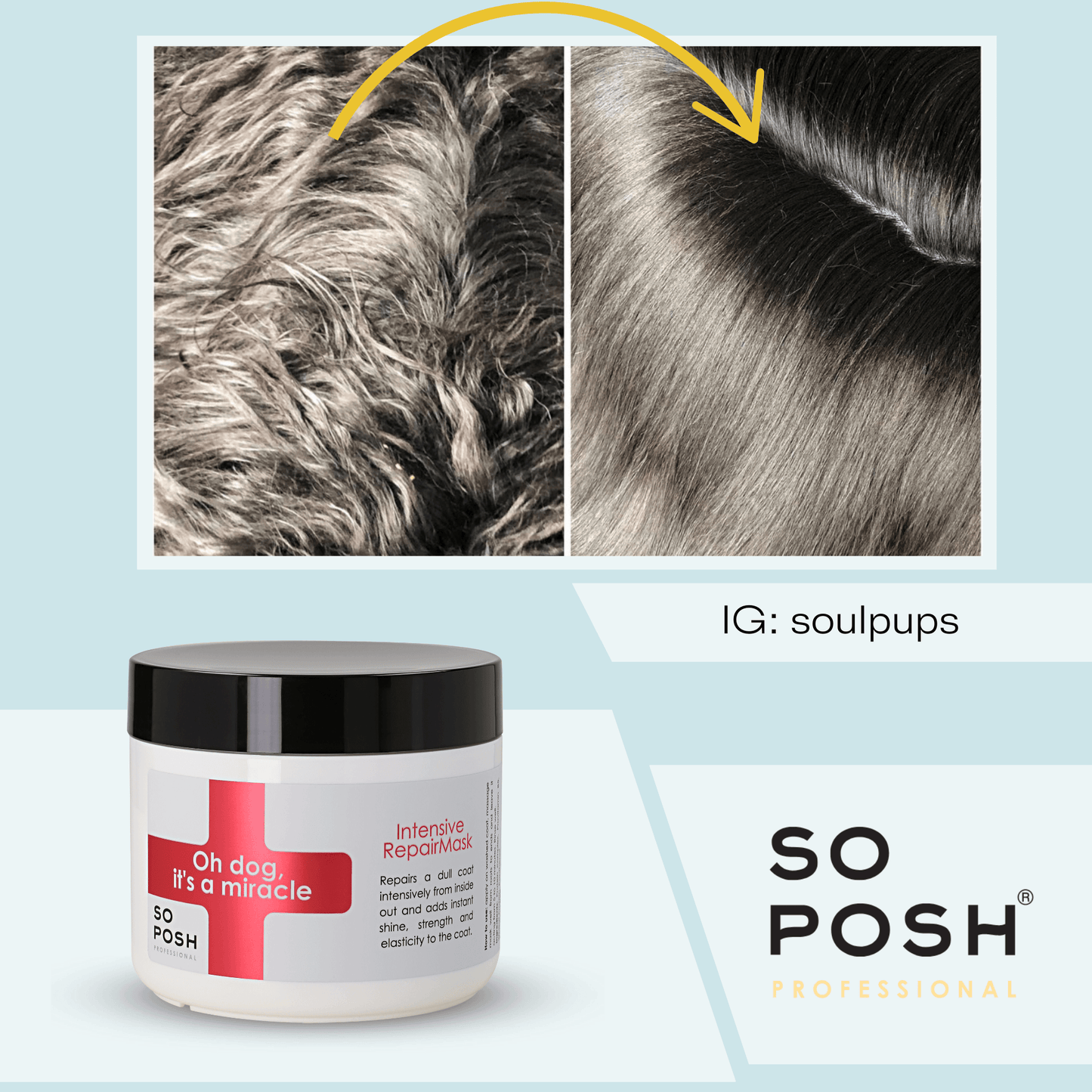 So Posh Oh Dog, It's a Miracle Intensive Repair Mask Reparierende Pflege für Hunde