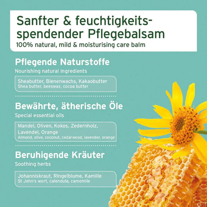 AniForte® Pfotenschutz Balsam – Natürlicher Rundumschutz für Hund & Katze
