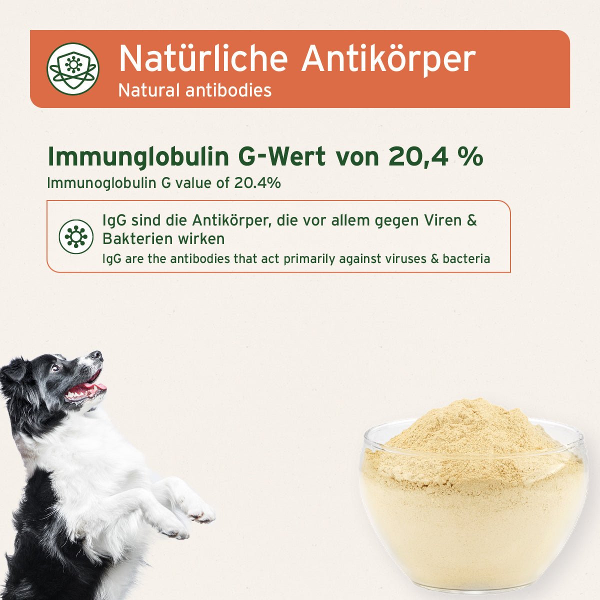 AniForte Premium Colostrum Stärkung der Abwehrkräfte und des Immunsystems 100g
