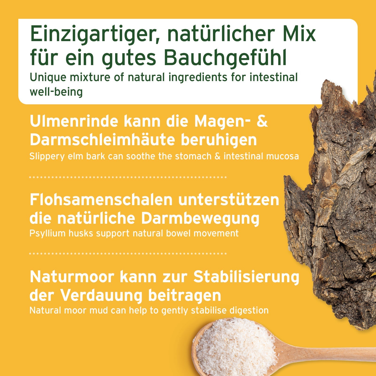 AniForte Ulmenrinde Liquid – Magen-Darm-Unterstützung für Hunde & Katzen