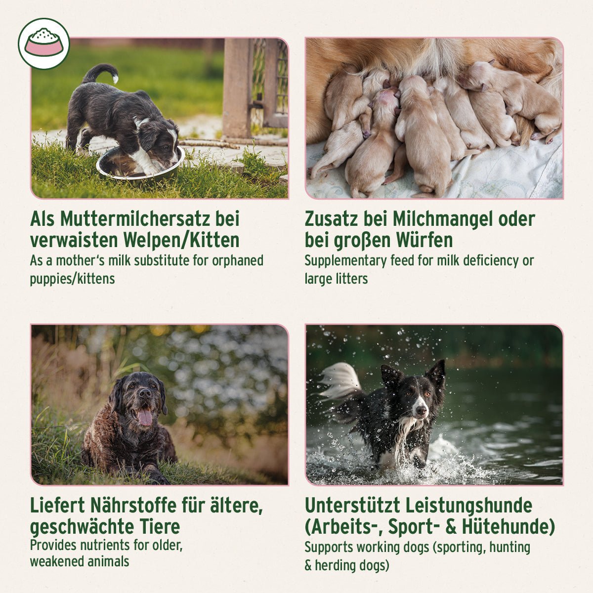 AniForte Ziegenmilch Pulver für Hunde & Katzen