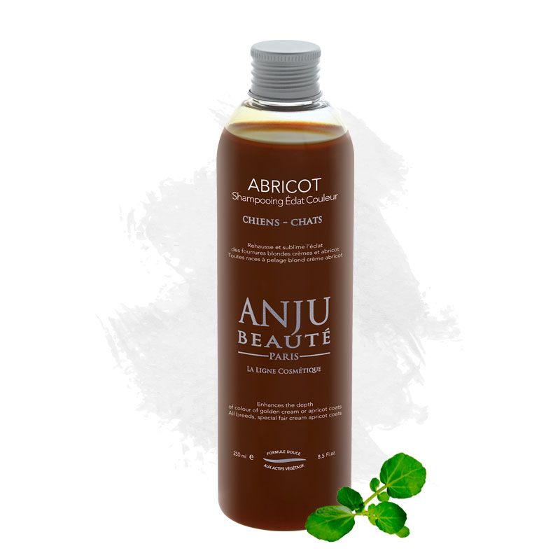 Anju Beauté Abricot Shampoo – Farbpflege für creme- bis apricotfarbenes Fell