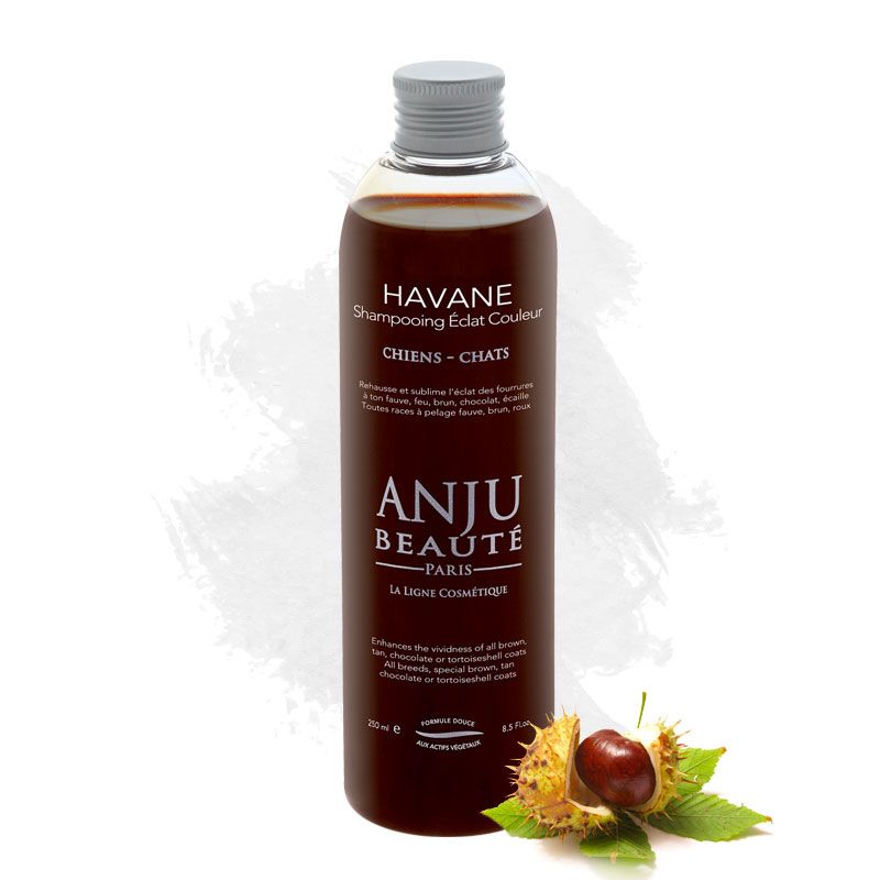 Anju Beauté Havane Shampoo – Farbauffrischung für braunes & rotbraunes Fell