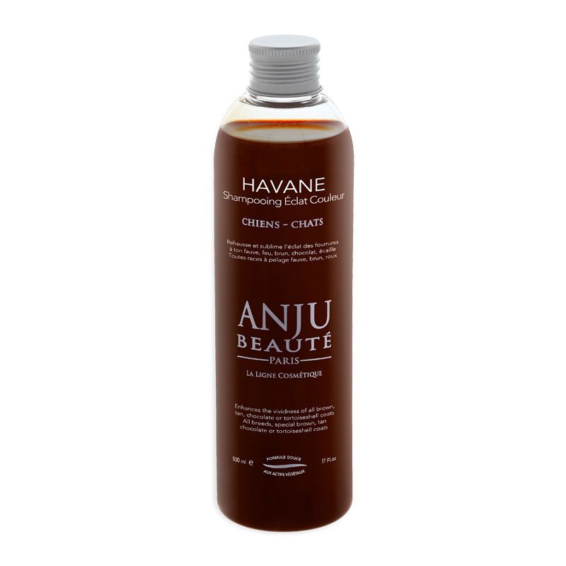 Anju Beauté Havane Shampoo – Farbauffrischung für braunes & rotbraunes Fell