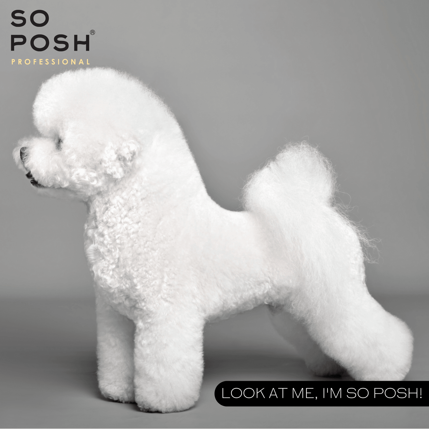 So Posh So White - Hunde-Shampoo für weißes Fell
