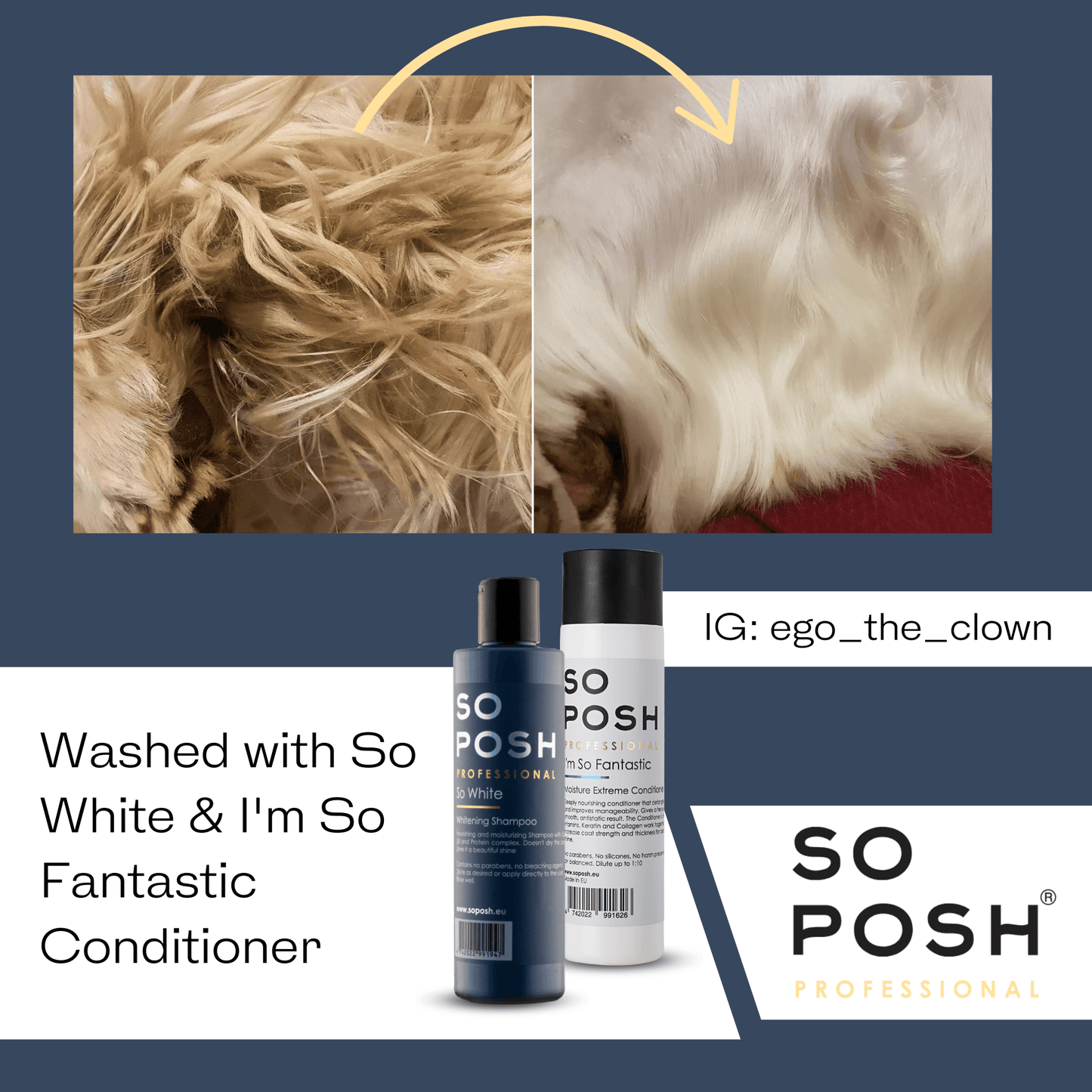 So Posh So White - Hunde-Shampoo für weißes Fell