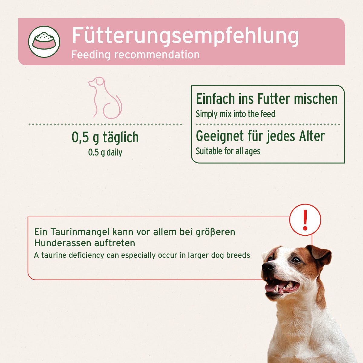 Aniforte Taurin Pulver für Hunde – Herz-Kreislauf-Stärkung & Ausgleich 100g