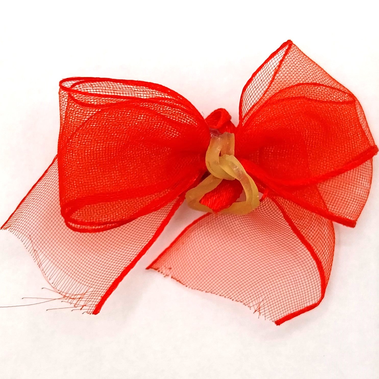 Aria® Sheer Delight Hundeschleifen, zartes Organzaband mit Satinrosette und Latexring zum befestigen