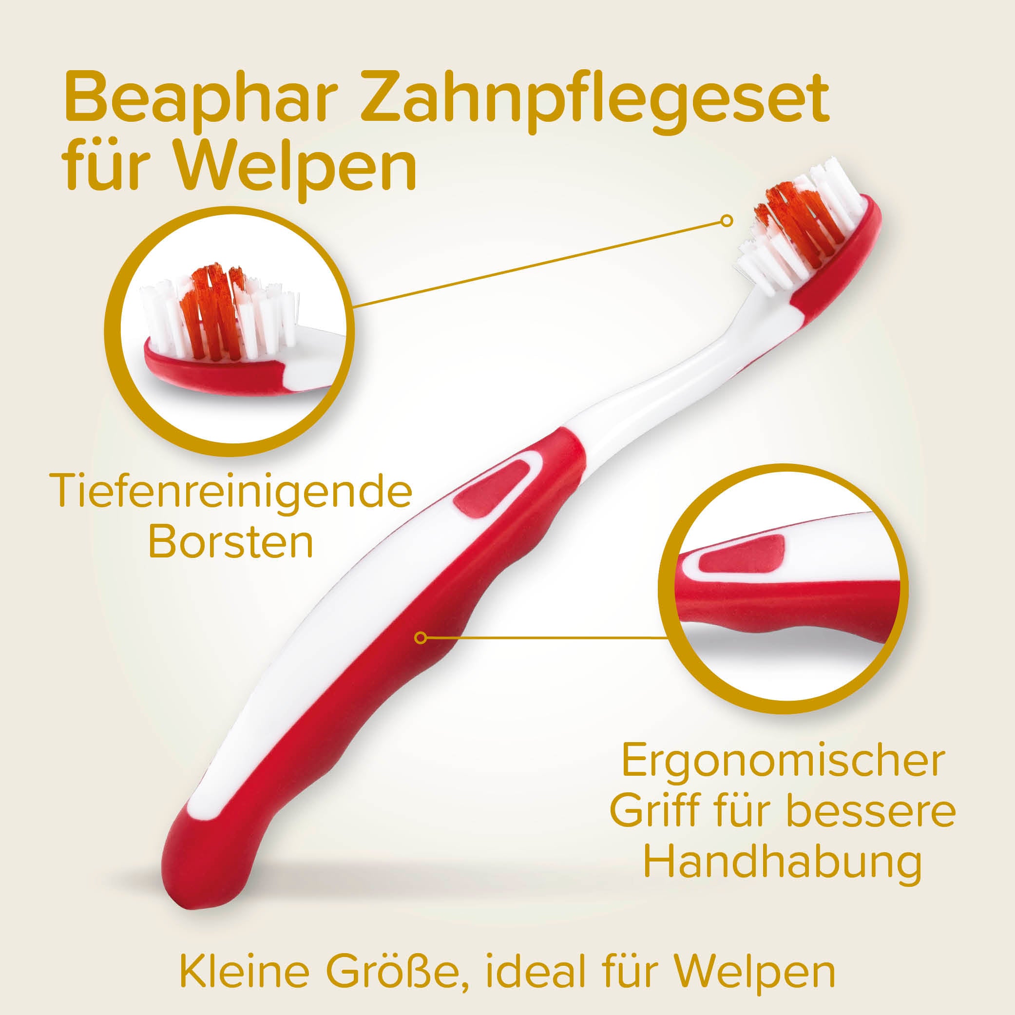 Beaphar Zahnpflege Set für Welpen und kleine Hunde, Puppy Dental Kit, 2-teilig
