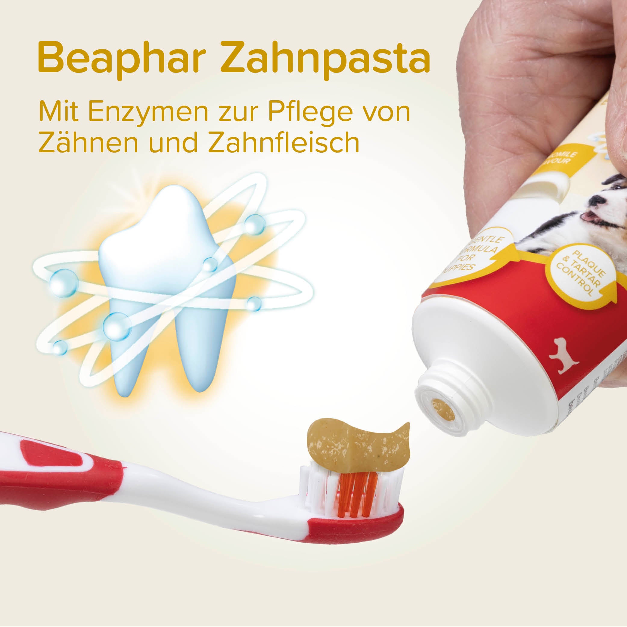 Beaphar Zahnpflege Set für Welpen und kleine Hunde, Puppy Dental Kit, 2-teilig