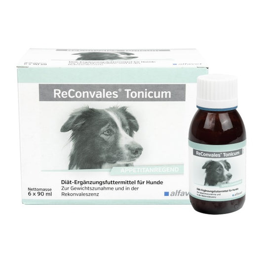ReConvales Tonicum Hund, Diät-Ergänzungsfuttermittel für Hunde, Hundewelpen