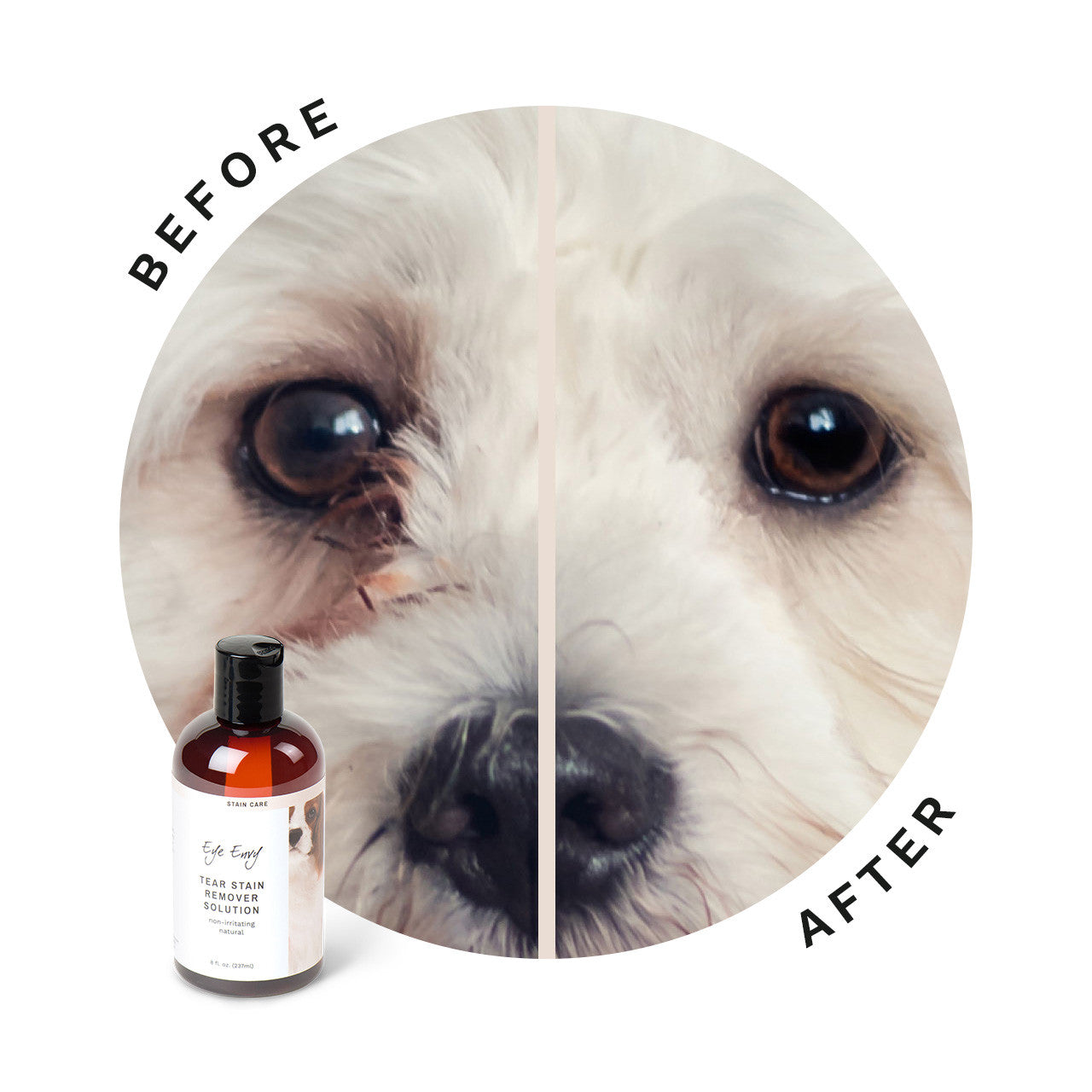 Eye Envy Tränenfleckentferner Liquid, Tear Stain Remover Solution