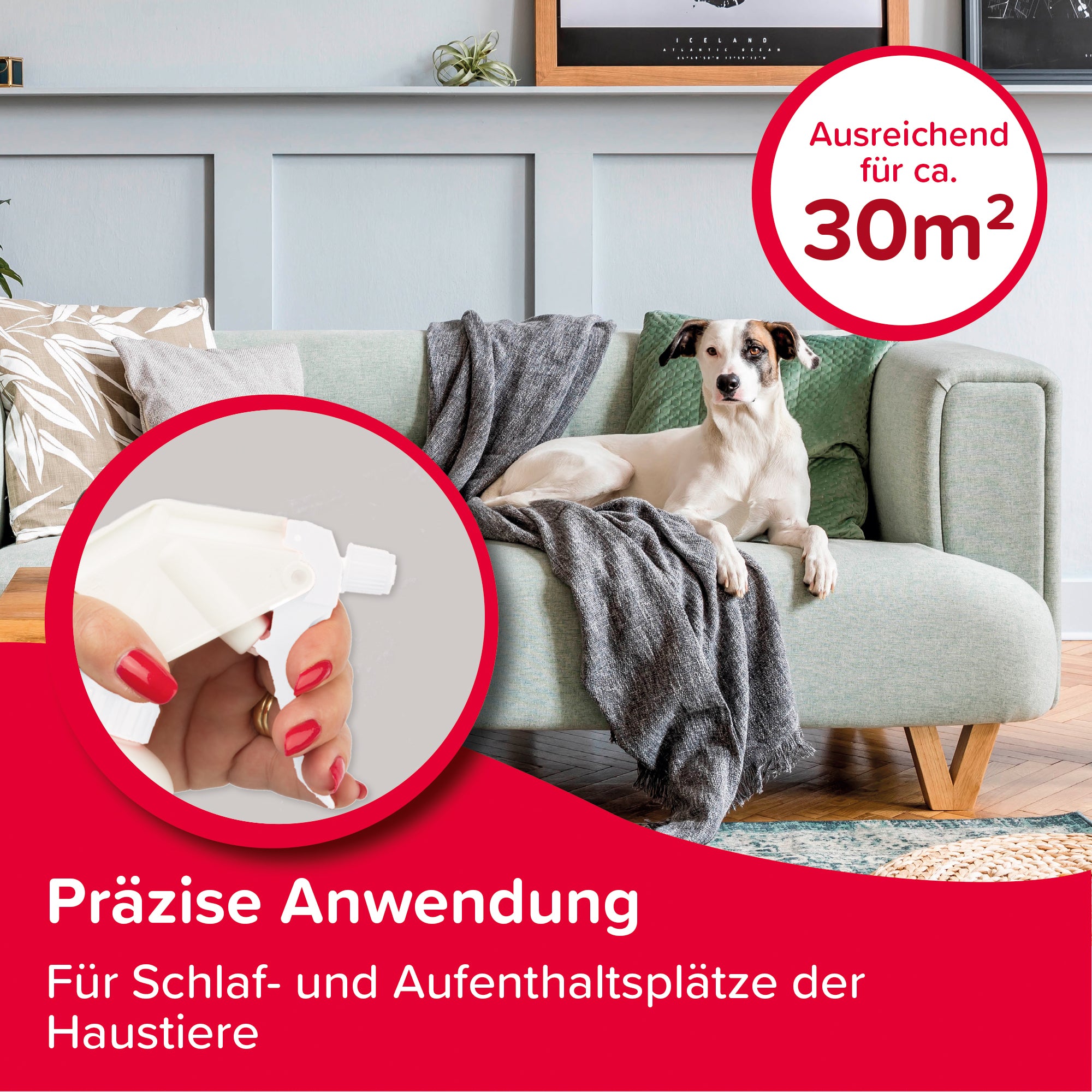 Beaphar Protecto Plus Umgebungsspray gegen Zecken Flöhe Parasitenspray Raumspray 400ml