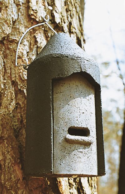 Schwegler Fledermaushöhle 2F