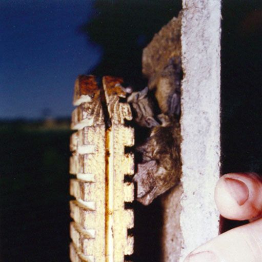 Schwegler Fledermaushöhle 2F