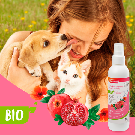Beaphar Bio Trocken-Shampoo Hund & Katze 200ml