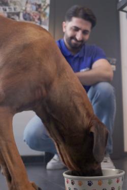 Canina MOVE-SHOT