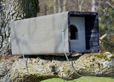 Schwegler Waldkauzröhre 1WK