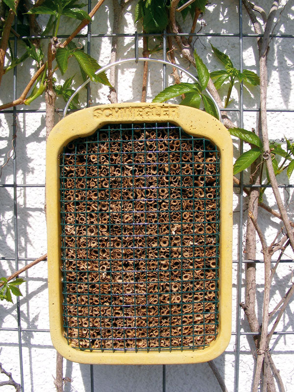 Schwegler Insektennistschilf – Detailansicht Schilf
