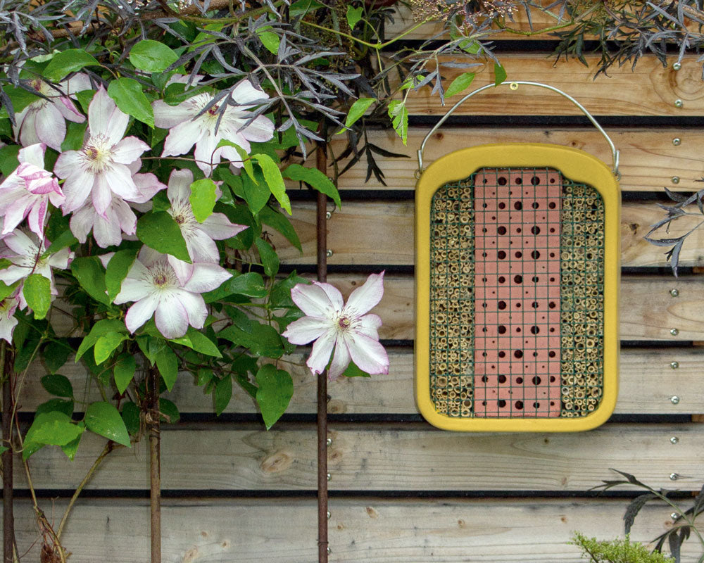 Schwegler Insektennistwand an einer Holzfassade neben Rankgitter mit weißen Clematisblüten
