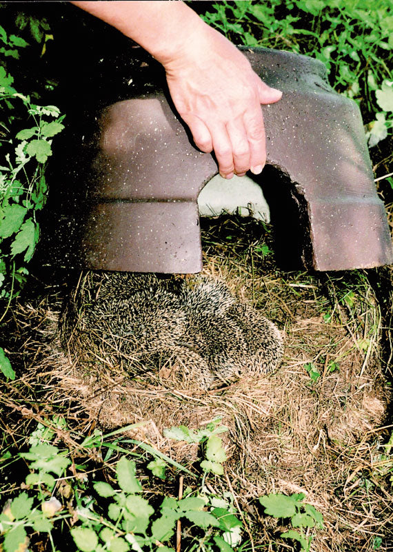 Schwegler Igelkuppel – Detailansicht Eingang