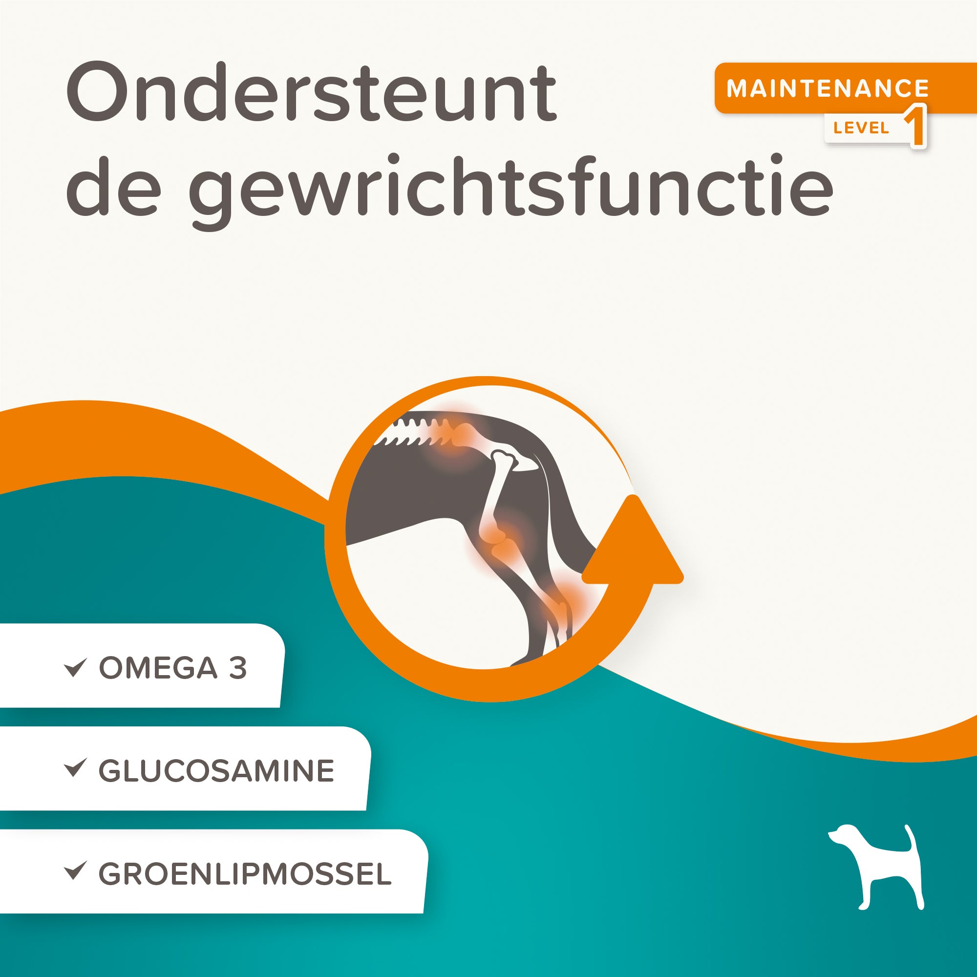 Beaphar Flexifit® Sticks mit wertvollen Gelenkbausteinen, Vitaminen und essentiellen Fettsäuren, 175 g