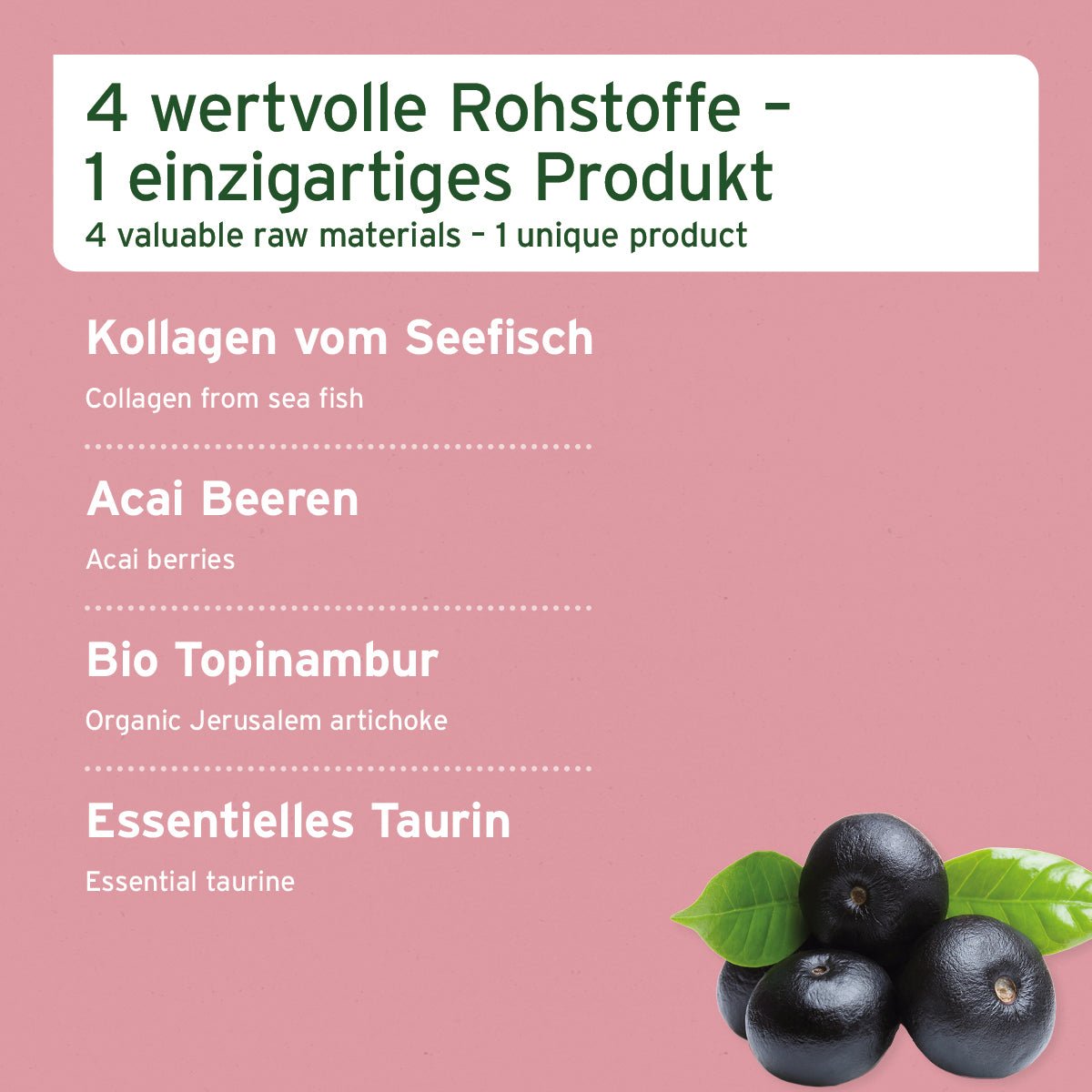 AniForte 4in1 Complete Cat – Rundumversorgung für Katzen