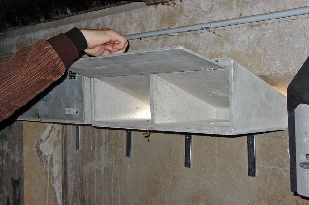 Schwegler Mauersegler-Keilkasten