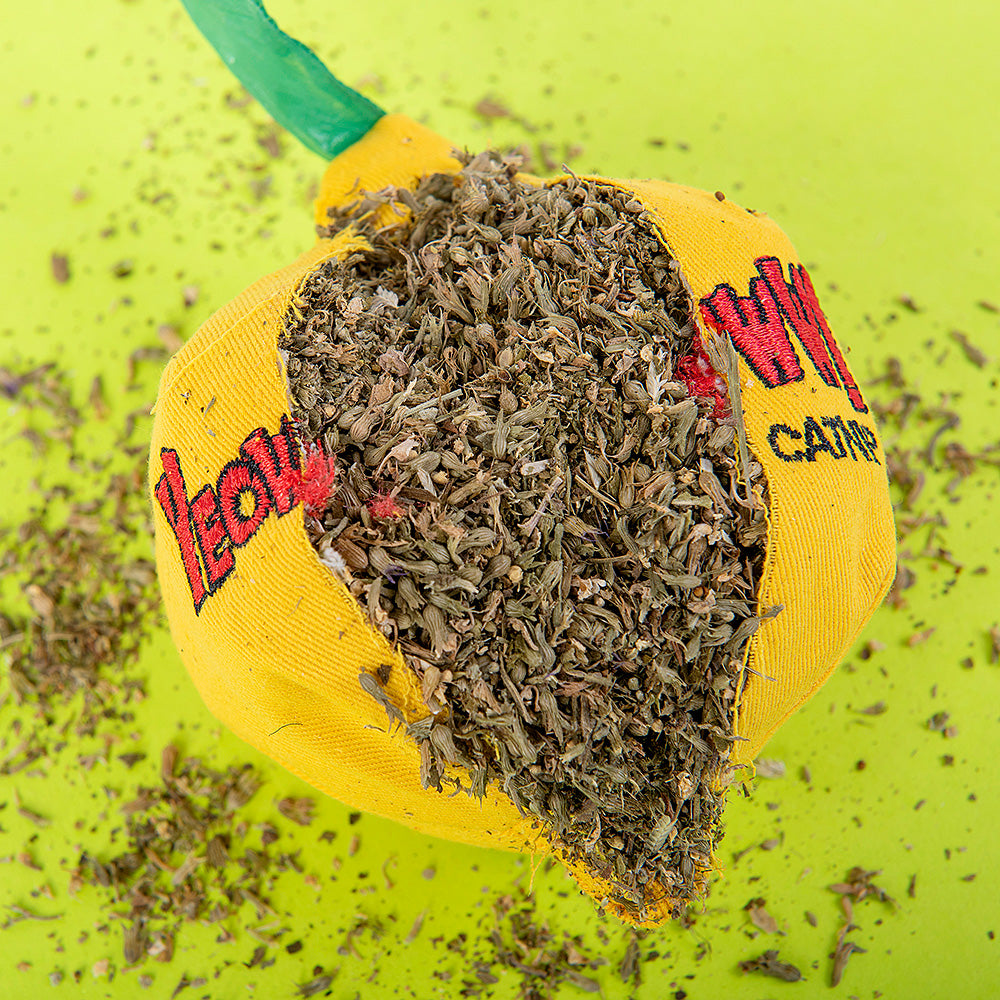 Yeowww! Lemon Katzenspielzeug mit Bio-Catnip