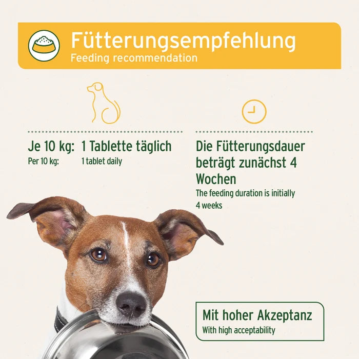 AniForte® plus Probiotikum Tabs, Probiotika und Präbiotika für den Hund, Verbesserung der Kotqualität, 90 Tabs