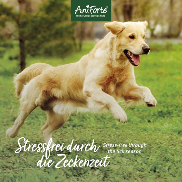 AniForte® ZeckenSchild Kapseln Unterstützt den Schutz vor Zecken mit Bierhefe & Vitamin B1, für Hunde