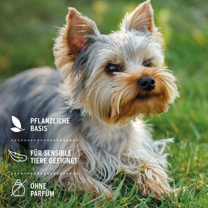 AniForte Augen-Reinigungspads mild & parfümfrei für Hunde & Katzen mit Aloe Vera, 100 Stk.
