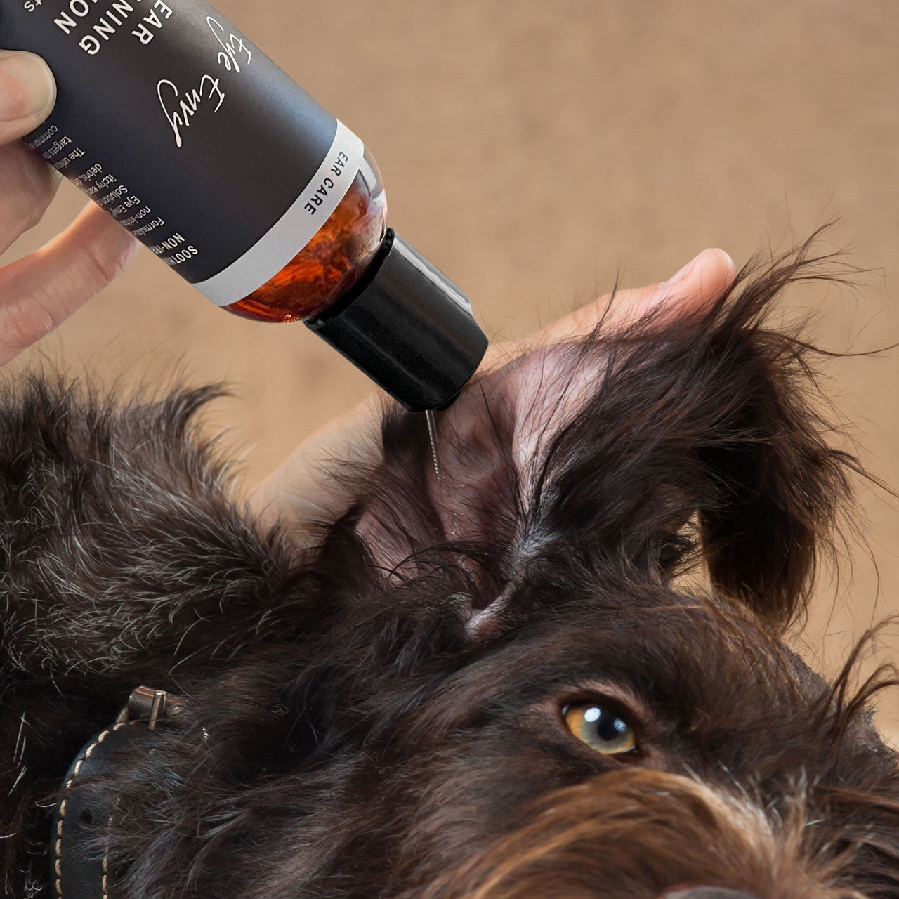 Eye Envy Ohrreiniger für Hunde & Katzen – sanfte Tiefenreinigung