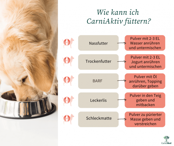 CarniMed  CarniActiv - bessere Mobilität und starke Gelenke, für den Senior, Junghund, Welpen und Katzen