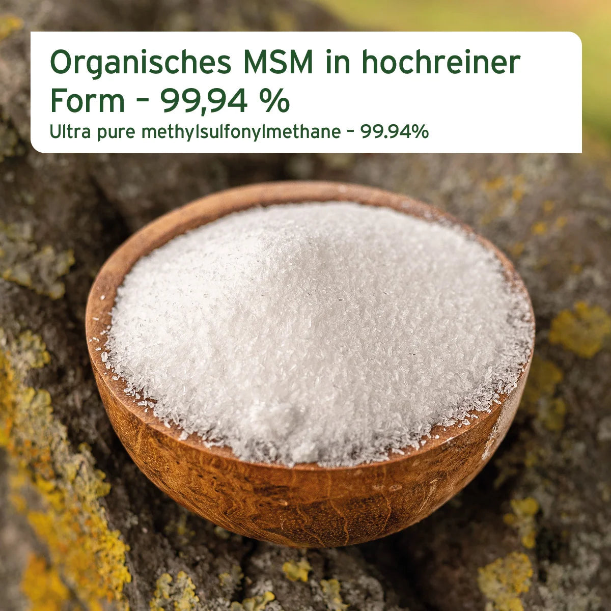 AniForte MSM Pulver zur Unterstützung der Gelenkkraft für Hunde & Katzen, 300g