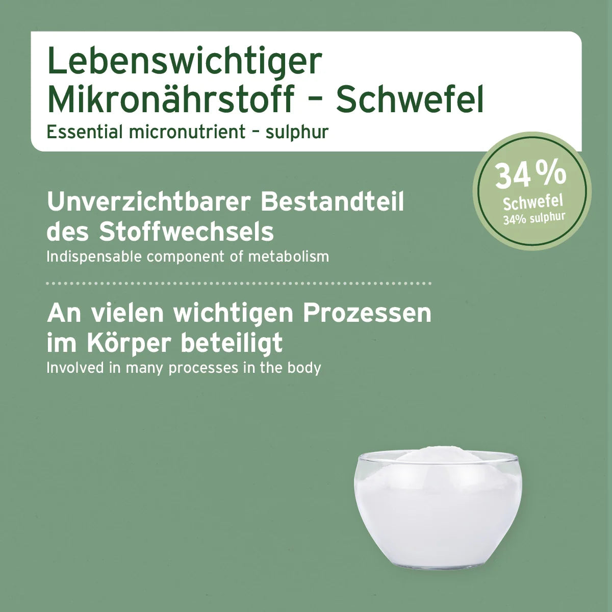AniForte MSM Pulver zur Unterstützung der Gelenkkraft für Hunde & Katzen, 300g
