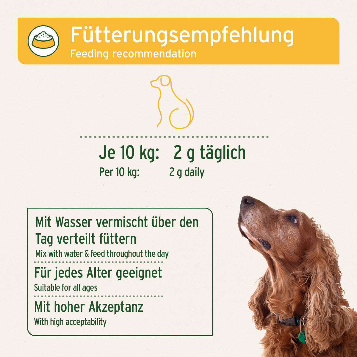 Aniforte MagenSanft Magenpulver für Hunde – Verdauungs- & Magen-Darm-Pflege