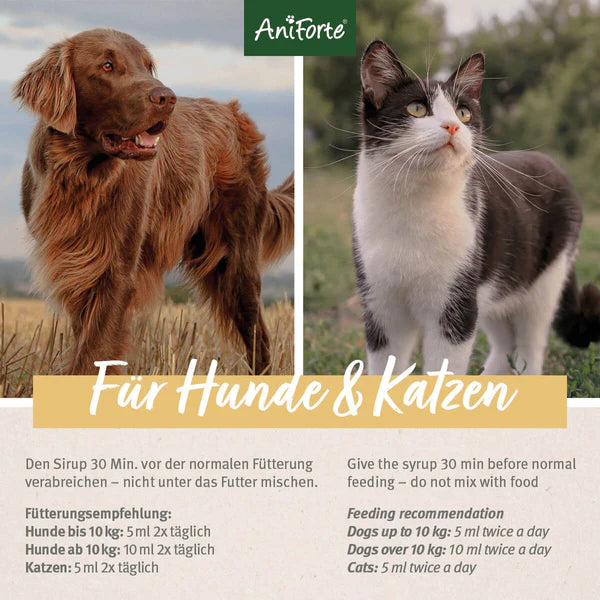 AniForte® Ulmenrinde Pulver zur Unterstützung bei Erbrechen und Durchfall für Hund & Katze
