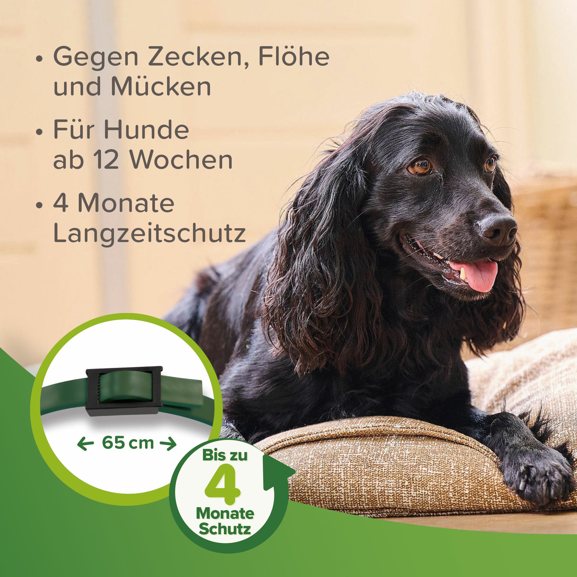 Beaphar Zecken- und Flohschutz Halsband für Hunde, für Tiere ab 12 Wochen geeignet 65cm, dunkelgrün