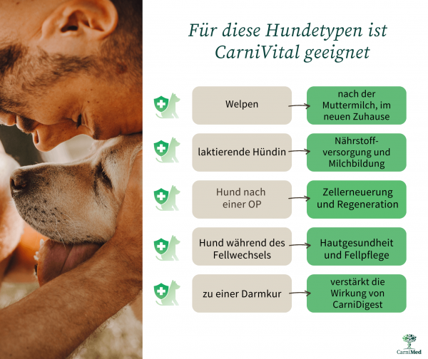 CarniMed CarniVital Vitalstoffbooster für Körper Psyche Regeneration Hund Katze 100 gr