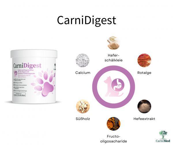 CarniMed CarniDigest schützt regeneriert, entgiftet den Verdauungstrakt Hund Katze 250 gr