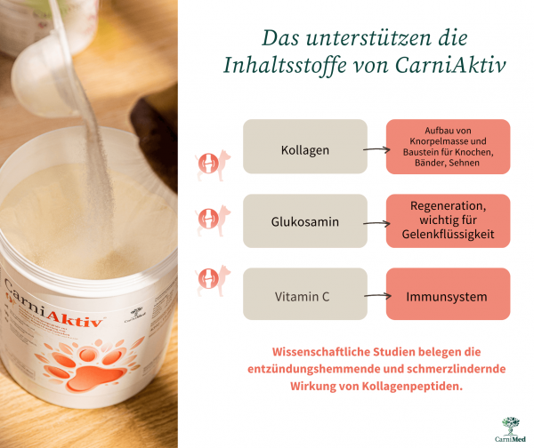CarniMed  CarniActiv - bessere Mobilität und starke Gelenke, für den Senior, Junghund, Welpen und Katzen