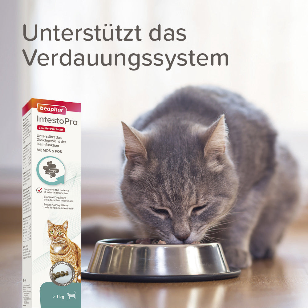 Beaphar IntestoPro Paste - Nachfolger von RETO - für Katzen, 20ml